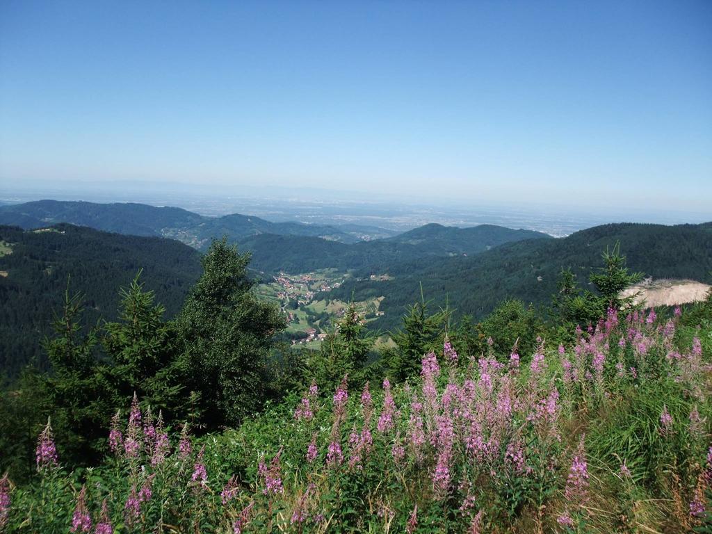 Terra Nova Baiersbronn Exterior foto